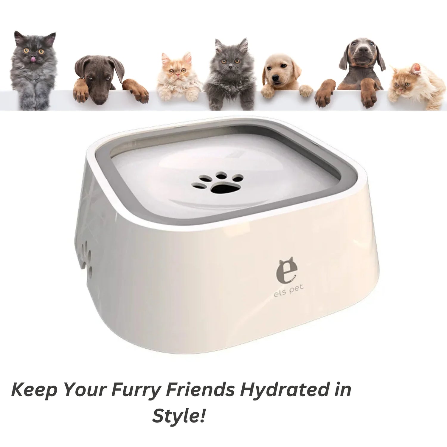 Water Bowls